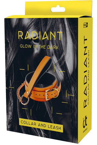 Radiant Collar and Leash Glow in the Dark Orange