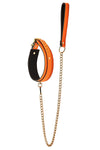 Radiant Collar and Leash Glow in the Dark Orange