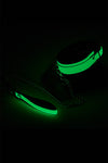 Radiant Collar and Leash Glow in the Dark Green