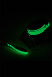 Radiant Collar and Leash Glow in the Dark Green