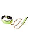 Radiant Collar and Leash Glow in the Dark Green