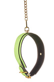 Radiant Collar and Leash Glow in the Dark Green