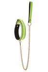 Radiant Collar and Leash Glow in the Dark Green