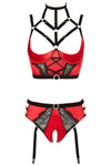 Abierta Fina Bustier with Waist-High Briefs | Angel Clothing