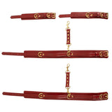 Bad Kitty Hand and Leg Restraints