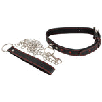 Bad Kitty Collar and Leash