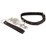 Bad Kitty Collar and Leash