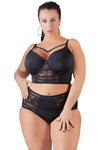 Cottelli Curves Briefs (XL) | Angel Clothing
