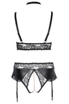 Cottelli Curves Plus Size Lingerie Set | Angel Clothing