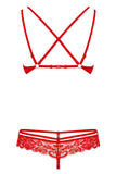 Obsessive Red Bra and Thong Set | Angel Clothing