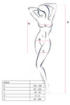 Passion Lingerie BS026 Mesh Dress White | Angel Clothing