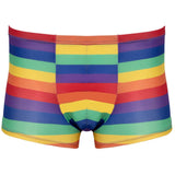 Svenjoyment Rainbow Boxer Briefs | Angel Clothing