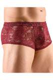 Svenjoyment Dark Red Shorts | Angel Clothing