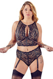 Cottelli Bondage Captivating Moments Set (85D/L, 90E/XL, 95D/2XL, 95E/2XL) | Angel Clothing
