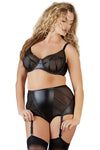 Cottelli Collection Plus Size Briefs with Suspenders (L) | Angel Clothing