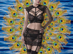 Grey Velvet Erotick Set 2 | Angel Clothing