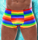 Svenjoyment Rainbow Boxer Briefs | Angel Clothing