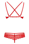 Obsessive Red Bra and Thong Set