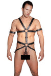 ZADO Harness