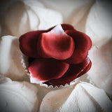 Bijoux Indiscrets - Scented Rose Petal Explosion - Fetshop