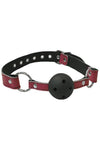 Bound to Tease Pink Leather Ball Gag