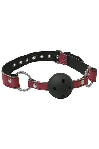Bound to Tease Pink Leather Ball Gag